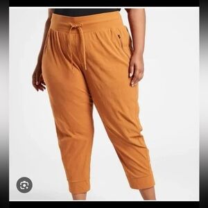 NWT ATHLETA Trekkie North Jogger in Cattail Brown 
size 24